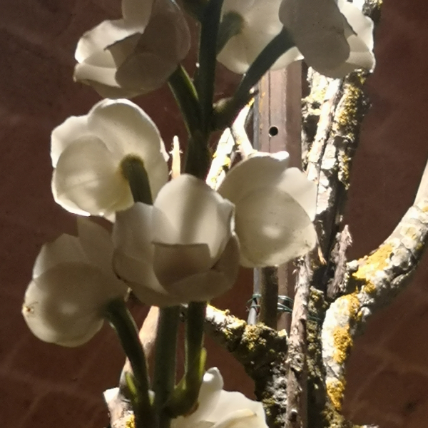Fontfroide_2022